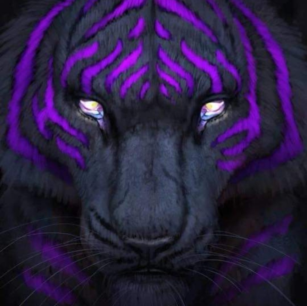 Meet your Posher, Marie